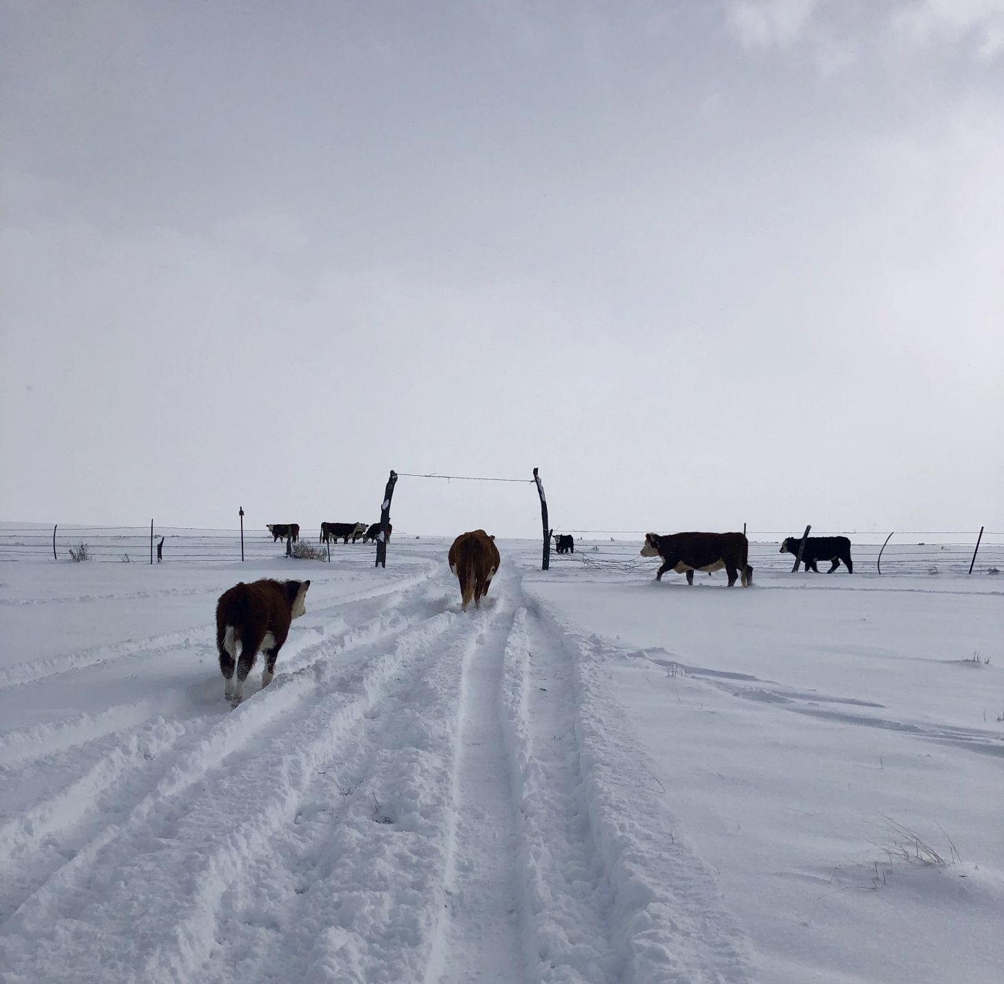 Adventures in Nature Student Photo Contest / Alyssa Wiltbanks